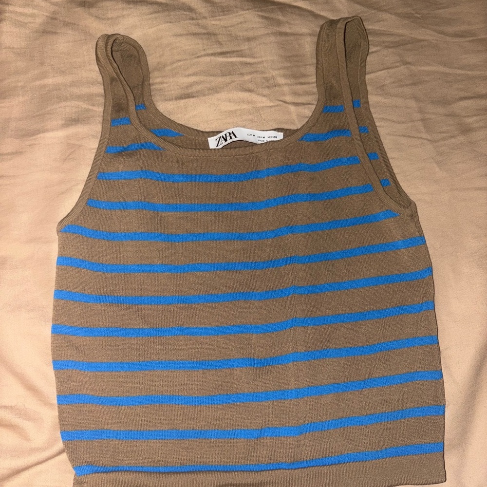 Zara Tan and Blue Striped Tank Top